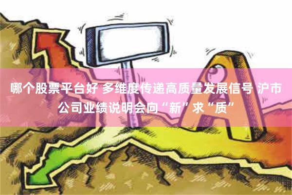 哪个股票平台好 多维度传递高质量发展信号 沪市公司业绩说明会向“新”求“质”