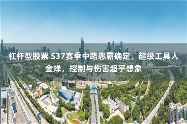 杠杆型股票 S37赛季中路恶霸确定，超级工具人金蝉，控制与伤害超乎想象