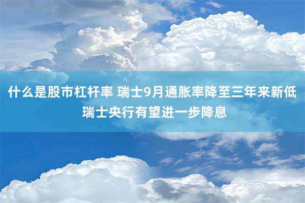 什么是股市杠杆率 瑞士9月通胀率降至三年来新低 瑞士央行有望进一步降息