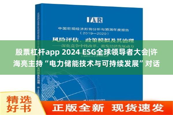 股票杠杆app 2024 ESG全球领导者大会|许海亮主持“电力储能技术与可持续发展”对话