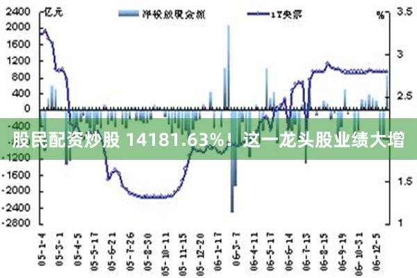 股民配资炒股 14181.63%！这一龙头股业绩大增