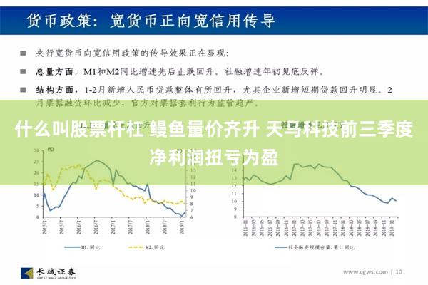 什么叫股票杆杠 鳗鱼量价齐升 天马科技前三季度净利润扭亏为盈