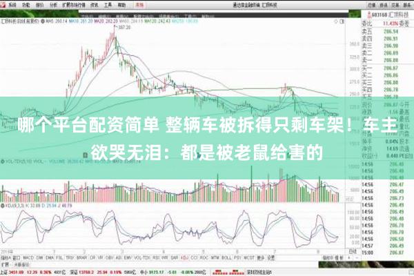 哪个平台配资简单 整辆车被拆得只剩车架！车主欲哭无泪：都是被老鼠给害的