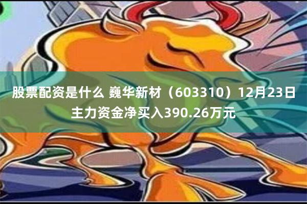 股票配资是什么 巍华新材（603310）12月23日主力资金净买入390.26万元