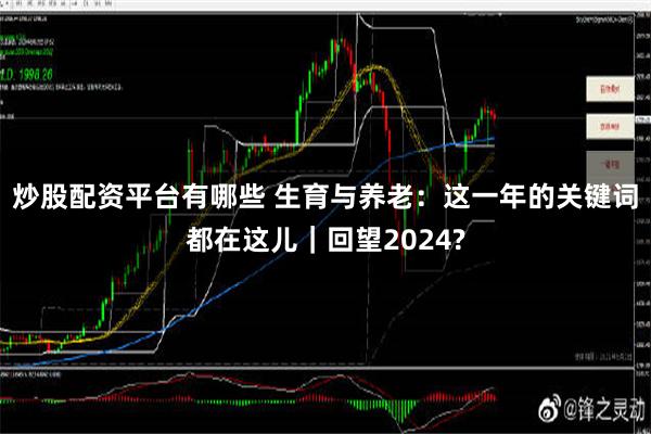 炒股配资平台有哪些 生育与养老：这一年的关键词都在这儿｜回望2024?