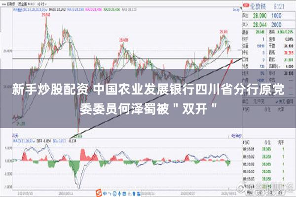 新手炒股配资 中国农业发展银行四川省分行原党委委员何泽蜀被＂双开＂